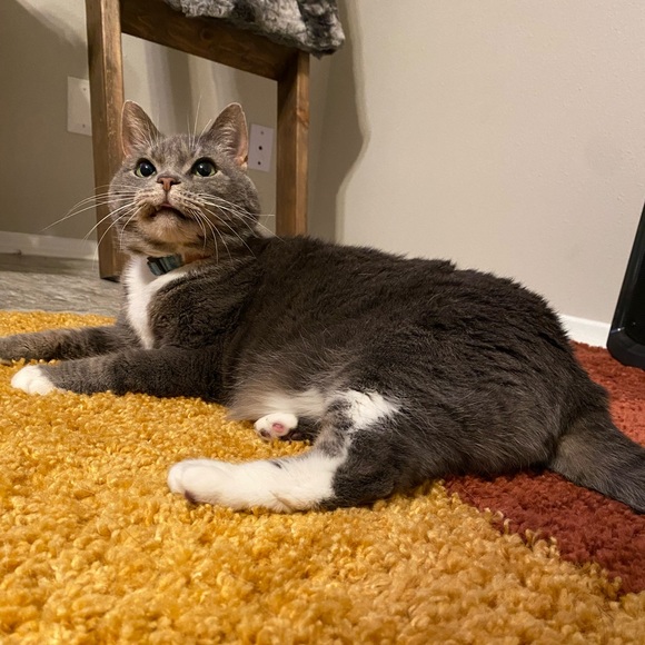 Meet your Posher, Healy - Picture 8 of 12